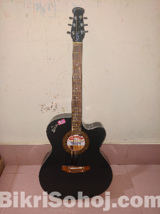 Signature Topqz.Model 256 Guitar.